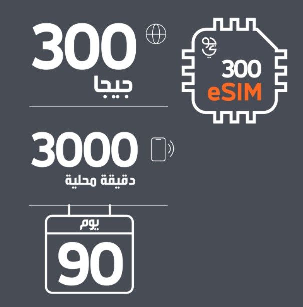esim 300.jpg