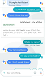 google assis 3.png