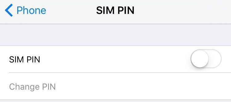 sim pin.jpg sim pin.jpg
