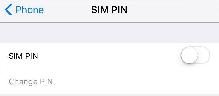 sim pin.jpg