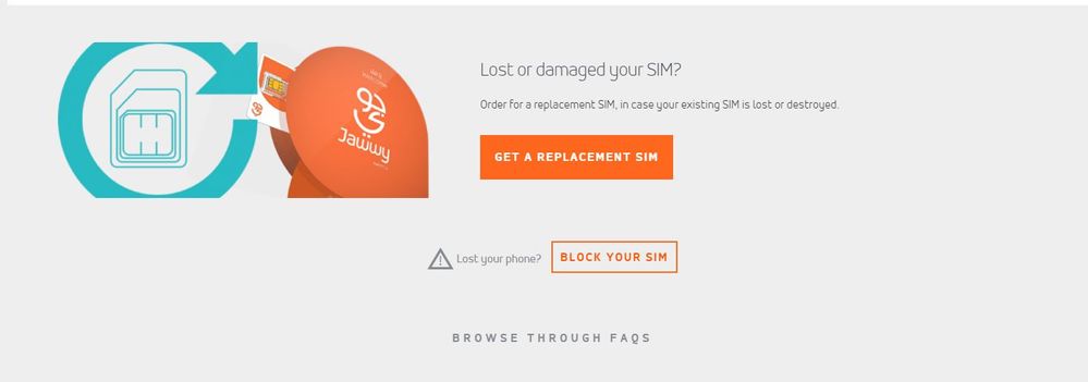 sim lost.JPG