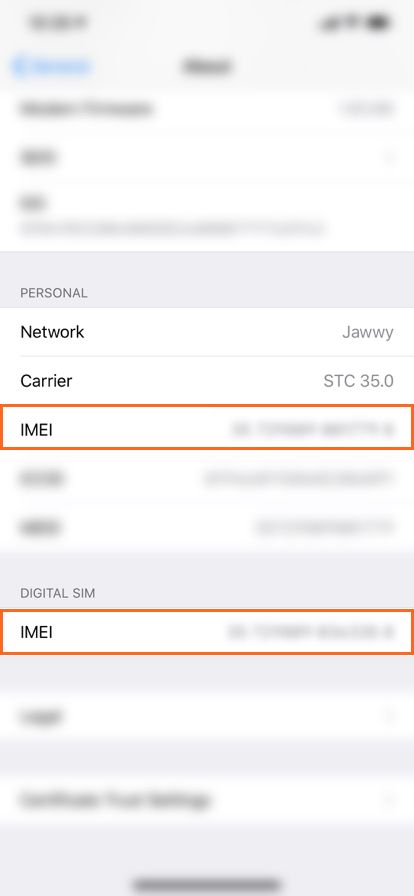 imei-esim.jpg